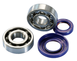 Lejesæt Polini til krumtap D.20