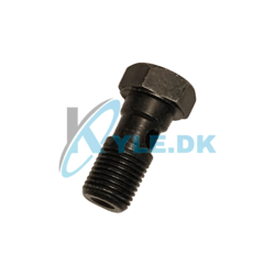 Banjobolt til hovedbremsecylinder Ape50 E4