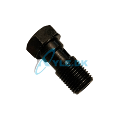 Banjobolt til hovedbremsecylinder Ape50 E4