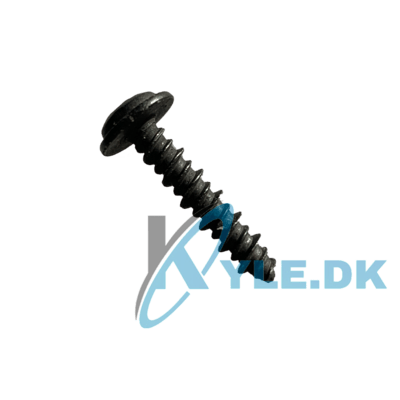 Skrue 4x20 til frontpanel Ape50