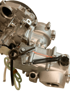 Motor kpl. APE 50 incl. differentiale