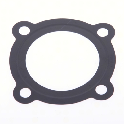 Toppakning Polini 102ccm, 55mm