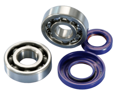 Lagersatz Polini für Kurbelwelle D.20