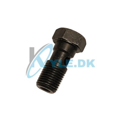 Banjobolt til hovedbremsecylinder Ape50 E4